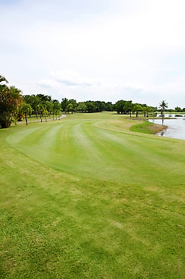 포토 JPG 주간 나무 식물 구름 해외기획촬영 해외 2010년태국 스포츠용품 스포츠 골프 스포츠시설 골프장 필드 하늘 레저 풍경 사람없음 야외 초록색 레포츠 구기 국내포토 자연요소 컬러 오브젝트 시설 파일형식