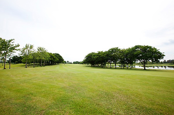 포토 JPG 주간 나무 식물 구름 해외기획촬영 해외 2010년태국 스포츠용품 스포츠 골프 스포츠시설 골프장 필드 하늘 레저 풍경 사람없음 야외 초록색 레포츠 구기 국내포토 자연요소 컬러 오브젝트 시설 파일형식