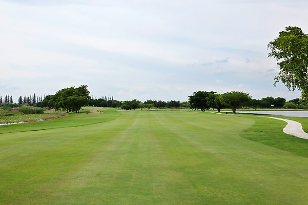 포토 JPG 주간 나무 식물 구름 해외기획촬영 해외 길 2010년태국 스포츠용품 스포츠 골프 스포츠시설 골프장 필드 하늘 레저 풍경 사람없음 야외 초록색 레포츠 구기 국내포토 자연요소 컬러 오브젝트 시설 파일형식
