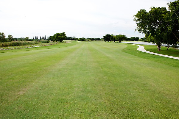 포토 JPG 주간 나무 식물 해외기획촬영 해외 길 2010년태국 스포츠용품 스포츠 골프 스포츠시설 골프장 필드 하늘 레저 풍경 사람없음 야외 초록색 레포츠 구기 국내포토 자연요소 컬러 오브젝트 시설 파일형식