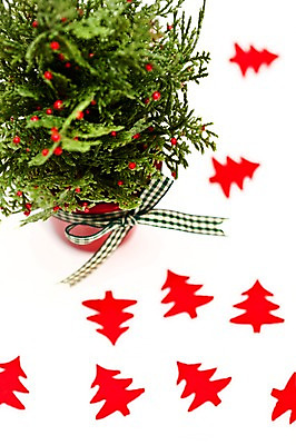 포토 JPG 스튜디오촬영 기념일 화분 크리스마스 크리스마스용품 실내 사람없음 장식 크리스마스트리 오브젝트 국내포토 이벤트 내부 용품 파일형식