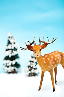 포토 JPG 스튜디오촬영 나무 기념일 인형 크리스마스 크리스마스용품 사슴 실내 사람없음 장식 크리스마스트리 루돌프 소나무 오브젝트 국내포토 식물 포유류 이벤트 내부 용품 파일형식