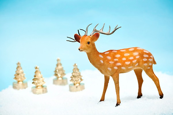 포토 JPG 스튜디오촬영 기념일 인형 크리스마스 크리스마스용품 사슴 실내 사람없음 장식 크리스마스트리 루돌프 오브젝트 국내포토 포유류 이벤트 내부 용품 파일형식