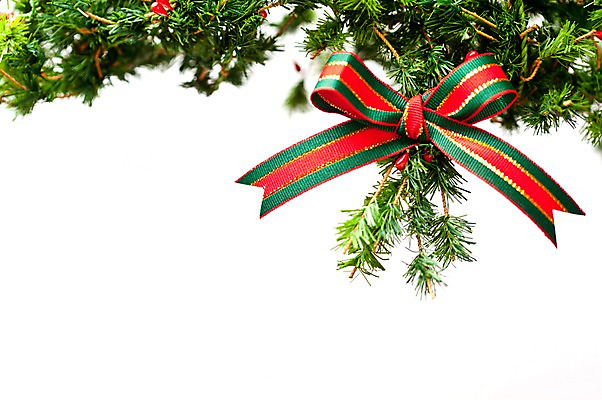 포토 JPG 스튜디오촬영 기념일 리본 크리스마스 크리스마스용품 실내 사람없음 장식 화환 오브젝트 국내포토 꽃 이벤트 내부 용품 파일형식