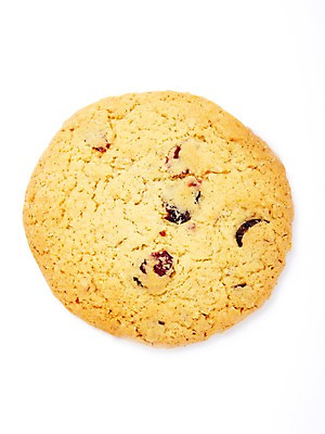 포토 JPG 스튜디오촬영 1 음식 디저트 실내 누끼 사람없음 한개 쿠키 제과 과자 국내포토 내부 제과제빵 파일형식