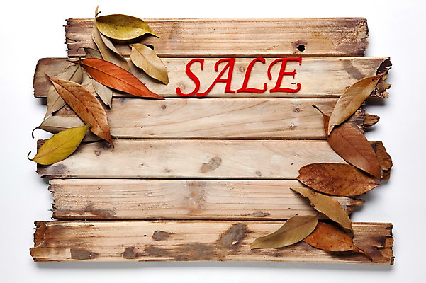 포토 JPG 스튜디오촬영 알파벳 단풍 낙엽 잎 나뭇잎 실내 사람없음 쇼핑 세일 팻말 오브젝트 국내포토 식물 영어 프레임 내부 파일형식