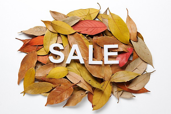 포토 JPG 스튜디오촬영 알파벳 단풍 낙엽 잎 나뭇잎 실내 사람없음 쇼핑 세일 오브젝트 국내포토 식물 영어 내부 파일형식