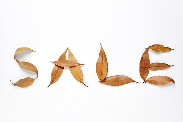 포토 JPG 스튜디오촬영 문자 알파벳 단풍 낙엽 잎 나뭇잎 실내 사람없음 쇼핑 세일 오브젝트 국내포토 식물 영어 내부 파일형식