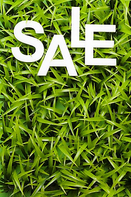 포토 JPG 스튜디오촬영 알파벳 실내 잔디 초원 사람없음 쇼핑 세일 풀 오브젝트 국내포토 식물 영어 내부 파일형식