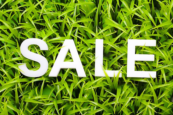 포토 JPG 스튜디오촬영 알파벳 실내 잔디 초원 사람없음 쇼핑 세일 풀 오브젝트 국내포토 식물 영어 내부 파일형식