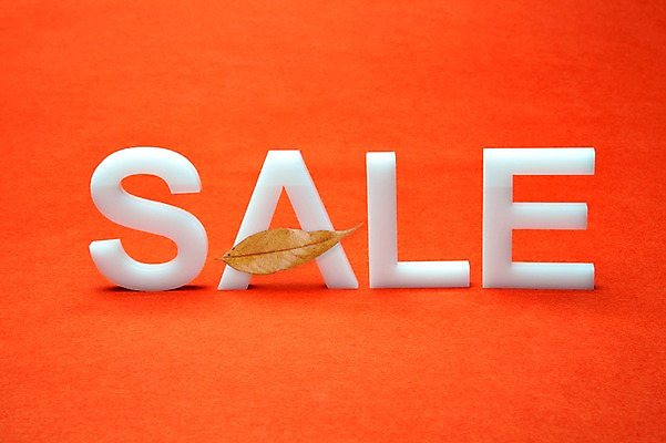 포토 JPG 스튜디오촬영 알파벳 단풍 낙엽 잎 나뭇잎 실내 사람없음 쇼핑 세일 오브젝트 국내포토 식물 영어 내부 파일형식