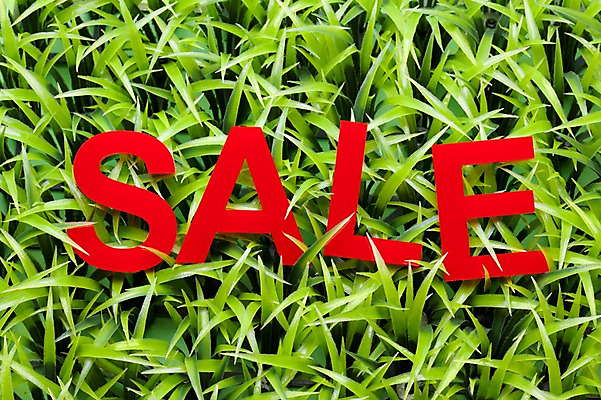 포토 JPG 스튜디오촬영 알파벳 실내 잔디 초원 사람없음 쇼핑 세일 풀 오브젝트 국내포토 식물 영어 내부 파일형식