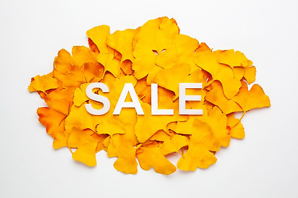 포토 JPG 스튜디오촬영 알파벳 단풍 낙엽 잎 나뭇잎 실내 사람없음 쇼핑 노란색 세일 오브젝트 은행잎 국내포토 식물 영어 컬러 내부 파일형식