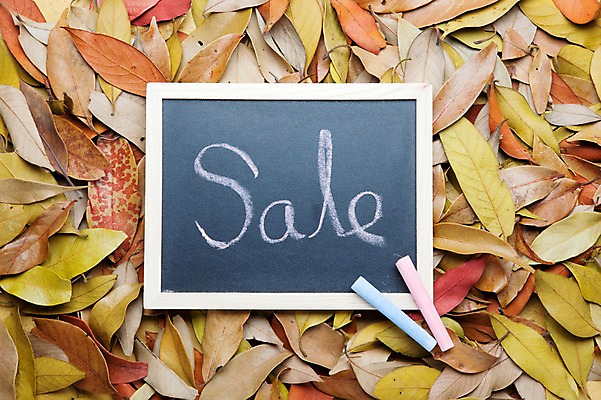 포토 JPG 스튜디오촬영 알파벳 단풍 낙엽 잎 나뭇잎 실내 사람없음 장식 쇼핑 세일 칠판 오브젝트 분필 국내포토 식물 영어 내부 초크 파일형식