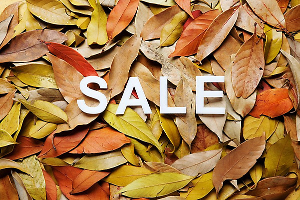 포토 JPG 스튜디오촬영 알파벳 단풍 낙엽 잎 나뭇잎 실내 사람없음 쇼핑 세일 오브젝트 국내포토 식물 영어 내부 파일형식