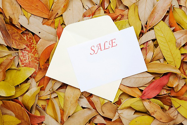 포토 JPG 스튜디오촬영 알파벳 단풍 낙엽 잎 나뭇잎 편지봉투 실내 사람없음 쇼핑 세일 편지 오브젝트 국내포토 카드프레임 식물 영어 봉투 프레임 내부 파일형식