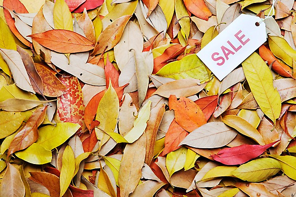 포토 JPG 스튜디오촬영 알파벳 단풍 낙엽 잎 나뭇잎 실내 사람없음 쇼핑 꼬리표 세일 오브젝트 국내포토 식물 영어 내부 라벨 파일형식