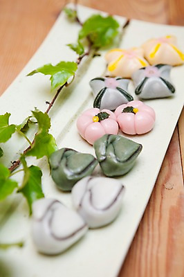 포토 JPG 식물 한식 음식 떡 사람없음 장식 덩굴 다기 다도 국내포토 예절 파일형식