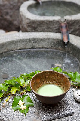 포토 JPG 식물 사람없음 물 샘 차 덩굴 찻잔 다기 다도 샘물 약수터 국내포토 자연요소 음료 잔 예절 파일형식