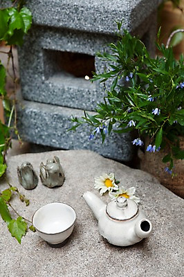 포토 JPG 식물 꽃 주전자 사람없음 야외 장식 돌_바위 차 찻잔 다기 다도 스타일링 국내포토 음료 주방용품 잔 예절 파일형식