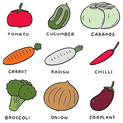 EPS 해외이미지 식물 디자인 음식 토마토 채소 일러스트 재료 자연 고추 가지 양파 오이 건강 창조 요리 그래픽 세트 주방 식당 정원 저녁식사 당근 수확 신선 그리기 시장 맛 낙서 농부 브로콜리 만화 스케치 수집 라인아트 그림 유기농 양배추 심플 손그림 점심식사 채식주의자 총각무 스타일 해외202009 해외일러스트 직업 웰빙 선 컨셉 농업 모션 뿌리채소 미술 상점 식사 무 생태계 채식 파일형식 벡터