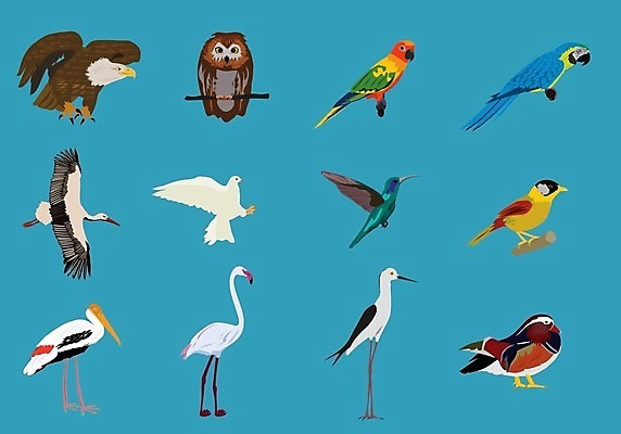 EPS 해외이미지 동물 디자인 야생동물 백그라운드 패턴 날개 일러스트 자연 조류 하늘 동물원 미술 장식 빨간색 파란색 세트 컬러풀 그룹 만화 수집 심볼 깃털 비둘기 파란배경 앵무새 독수리 부엉이 고립 동물상 해외202009 해외일러스트 컬러 무늬 문화예술 조형물 생태계 파일형식 벡터