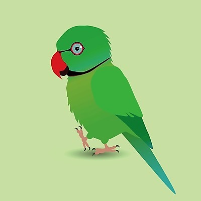 EPS 해외이미지 동물 야생동물 파도 일러스트 자연 조류 빨간색 초록색 파란색 반려동물 컬러풀 노란색 흰색 나뭇가지 달콤 해충 스마트 깃털 부리 앵무새 코믹 솜털 고립 동물상 이국적 잉꼬 해외202009 해외일러스트 나무 바다 컬러 컨셉 조형물 맛 벌레 생태계 파일형식 벡터