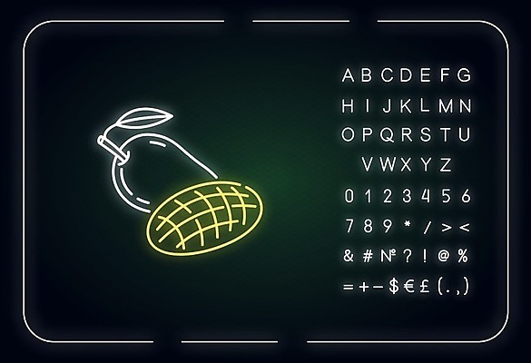 EPS 해외이미지 일러스트 사람없음 네온 망고 해외일러스트 열대과일 파일형식 벡터