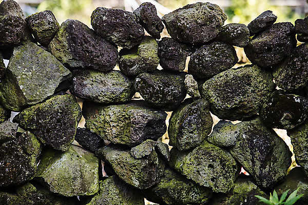 포토 JPG 주간 여행 고건축 자연 한국 돌담 풍경 근접촬영 사람없음 야외 관광지 제주도 국내여행 성읍 제주가옥 국내포토 자연요소 건축물 아시아 뷰포인트 담장 돌_바위 생태계 파일형식