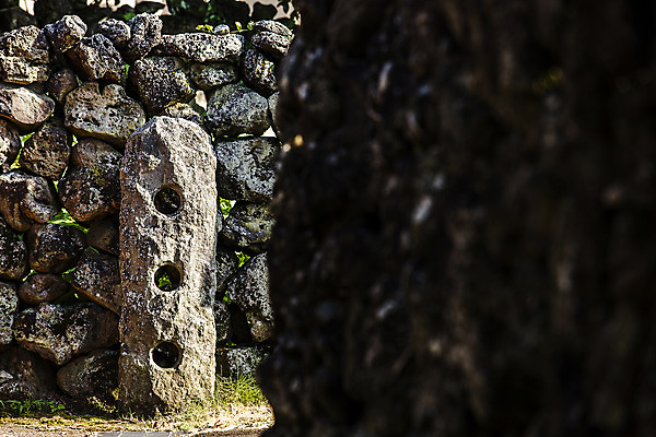 포토 JPG 주간 여행 고건축 자연 한국 돌담 풍경 근접촬영 사람없음 야외 아웃포커스 관광지 제주도 국내여행 성읍 정낭 제주가옥 국내포토 자연요소 건축물 아시아 뷰포인트 촬영기법 담장 돌_바위 생태계 대문 파일형식