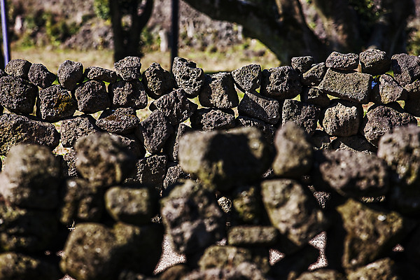포토 JPG 주간 바다 섬 여행 자연 한국 돌담 풍경 근접촬영 사람없음 야외 관광지 제주도 암석 국내여행 국내포토 자연요소 아시아 뷰포인트 담장 돌_바위 생태계 파일형식