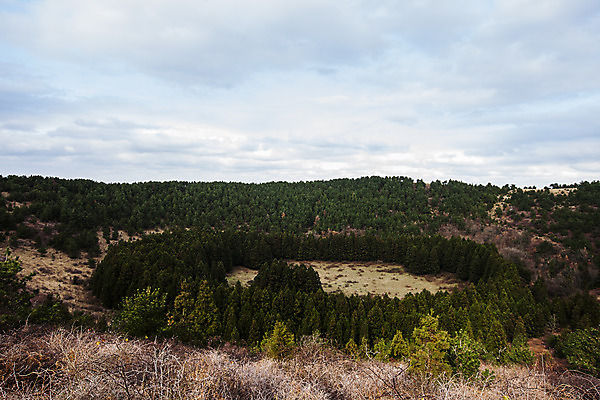 포토 JPG 주간 길 섬 여행 자연 한국 풍경 사람없음 야외 관광지 제주도 암석 오름 국내여행 아부오름 국내포토 자연요소 아시아 돌_바위 생태계 파일형식