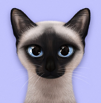 PSD 동물 한마리 일러스트 사람없음 반려동물 귀여움 보라색 고양이 눈동자 반려 샴고양이 증명사진 반려묘 국내일러스트 1 컬러 컨셉 포유류 눈_신체부위 파일형식