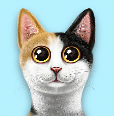 PSD 동물 한마리 일러스트 사람없음 파란색 반려동물 귀여움 고양이 눈동자 반려 증명사진 재패니즈밥테일 반려묘 삼색고양이 국내일러스트 1 컬러 컨셉 포유류 눈_신체부위 파일형식