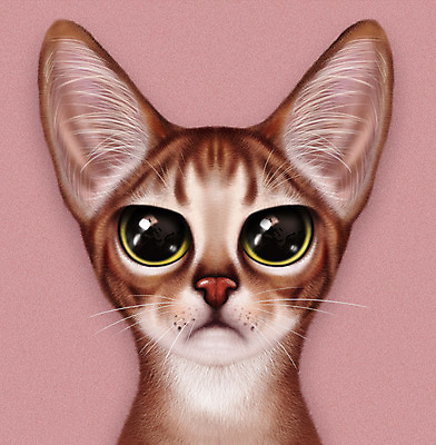 PSD 동물 한마리 분홍색 일러스트 사람없음 반려동물 귀여움 고양이 눈동자 반려 증명사진 반려묘 아비시니안 국내일러스트 1 컬러 컨셉 포유류 눈_신체부위 파일형식