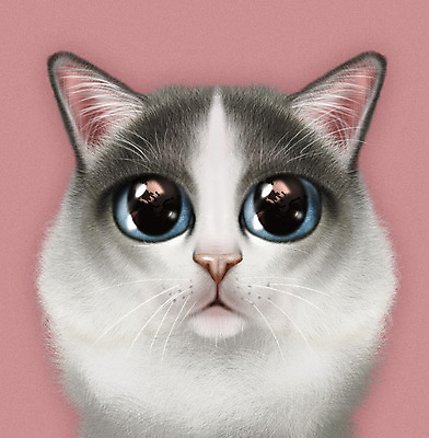 PSD 동물 한마리 분홍색 일러스트 사람없음 반려동물 귀여움 고양이 눈동자 반려 증명사진 반려묘 랙돌 국내일러스트 1 컬러 컨셉 포유류 눈_신체부위 파일형식