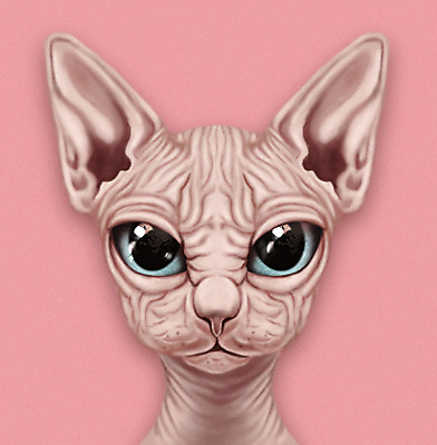 PSD 동물 한마리 분홍색 일러스트 사람없음 반려동물 귀여움 고양이 눈동자 스핑크스 반려 증명사진 반려묘 피터볼드 국내일러스트 1 컬러 컨셉 포유류 이집트 눈_신체부위 파일형식