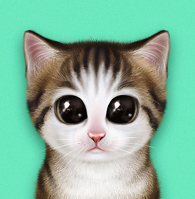 PSD 동물 한마리 일러스트 사람없음 반려동물 귀여움 고양이 눈동자 민트색 반려 증명사진 먼치킨 반려묘 국내일러스트 1 컬러 컨셉 포유류 눈_신체부위 파일형식