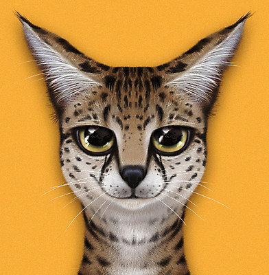 PSD 동물 한마리 일러스트 사람없음 반려동물 귀여움 주황색 고양이 눈동자 치타 반려 사바나 증명사진 반려묘 국내일러스트 1 컬러 컨셉 포유류 눈_신체부위 파일형식