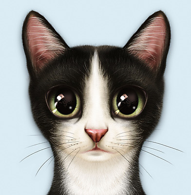 PSD 동물 한마리 일러스트 정장 턱시도 사람없음 파란색 반려동물 귀여움 고양이 눈동자 반려 증명사진 코리아숏헤어 반려묘 국내일러스트 1 옷 컬러 컨셉 포유류 눈_신체부위 파일형식