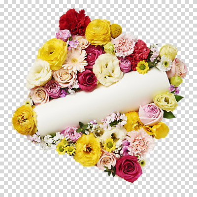 편집이미지 꽃 프레임 누끼 사람없음 장미 카네이션 소국 거베라 패랭이꽃 라넌큘러스 PNG 리시안셔스 편집소스 류코코리네 붐바스틱 식물 파일형식