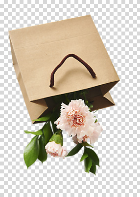 편집이미지 꽃 선물 누끼 사람없음 쇼핑백 카네이션 PNG 편집소스 식물 가방 파일형식