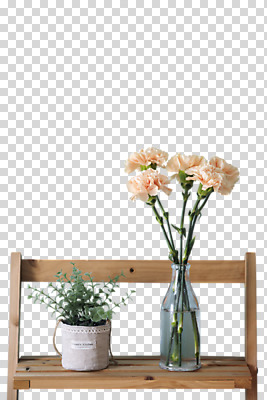 식물 편집이미지 꽃 화분 누끼 사람없음 인테리어 꽃병 어버이날 스승의날 카네이션 오브젝트 PNG 편집소스 디자인 기념일 파일형식