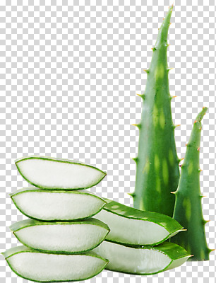 편집이미지 단면 건강 누끼 사람없음 건강관리 여러개 신선 가시 유기농 날카로움 PNG 다육식물 알로에 편집소스 사포나리아 식물 웰빙 다수 관리 파일형식