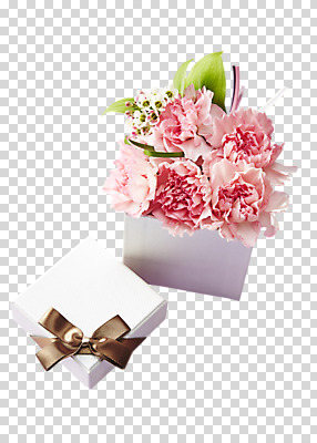 편집이미지 꽃 리본 화분 선물 누끼 사람없음 선물상자 카네이션 PNG 편집소스 식물 상자 파일형식