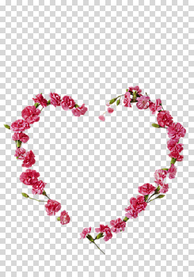 편집이미지 꽃 프레임 누끼 사람없음 하트 카네이션 PNG 꽃프레임 스타일링 편집소스 모양 식물 파일형식