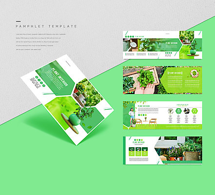나무 식물 템플릿 손 여자 ZIP 화분 리플렛 나뭇잎 한명 팜플렛 20대 성인 취미 신체부위 초록색 인테리어 한국인 원예 성인여자한명만 인디자인 INDD 플랜테리어 이미지템플릿 1 디자인 컬러 잎 사람 동양인 청년 여자한명만 성인여자만 파일형식