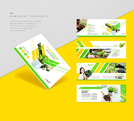 나무 템플릿 손 ZIP 화분 리플렛 나뭇잎 한명 팜플렛 20대 성인 취미 신체부위 인테리어 노란색 물뿌리개 한국인 원예 성인여자한명만 인디자인 INDD 플랜테리어 이미지템플릿 식물 1 디자인 컬러 잎 사람 동양인 청년 여자한명만 성인여자만 파일형식