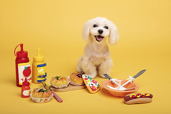 포토 JPG 스튜디오촬영 동물 한마리 반려견 주방용품 도마 피자 실내 사람없음 앞모습 반려동물 장난감 모형 귀여움 칼 말티즈 개 도넛 강아지 핫도그 노란배경 반려 국내포토 1 음식 뷰포인트 생활용품 백그라운드 컨셉 포유류 디저트 패스트푸드 서양음식 내부 노란색 파일형식
