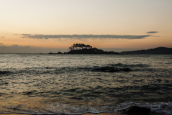 포토 JPG 주간 구름 바다 여행 자연 하늘 한국 풍경 사람없음 야외 일출 어선 울산 국내여행 멸치 멸치잡이 국내포토 자연요소 아시아 배_교통 어류 어업 노을 생태계 파일형식